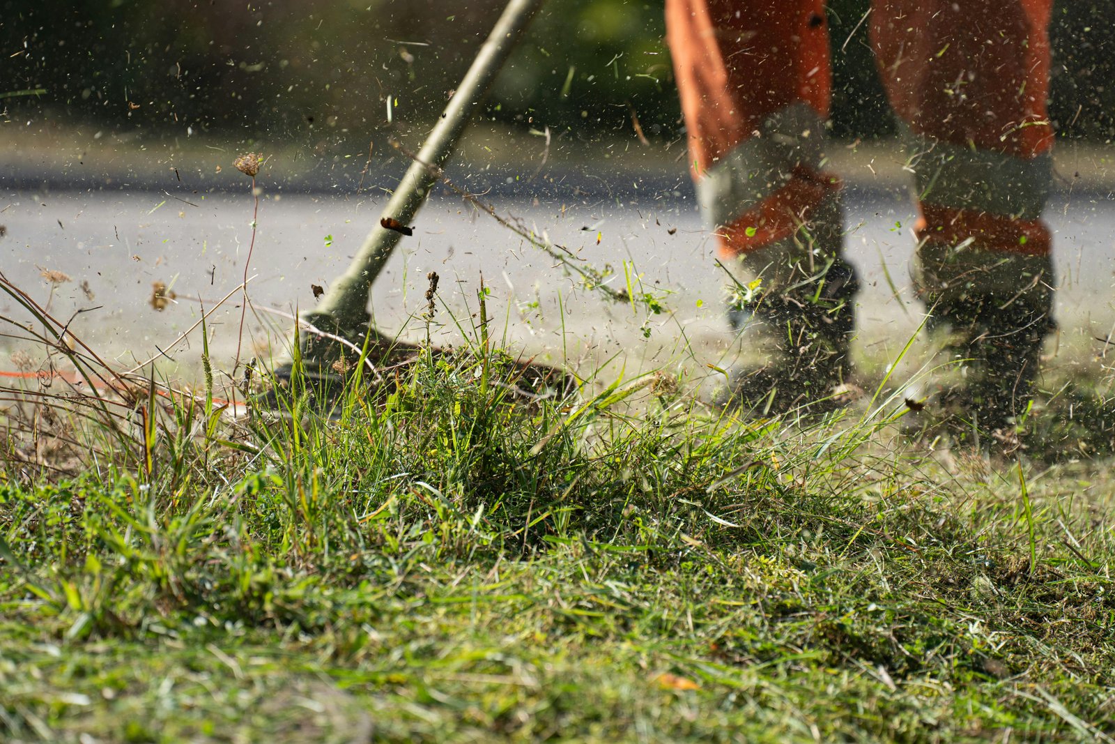 Vakkundig snoeien van hagen en bomen, ook op hoogte